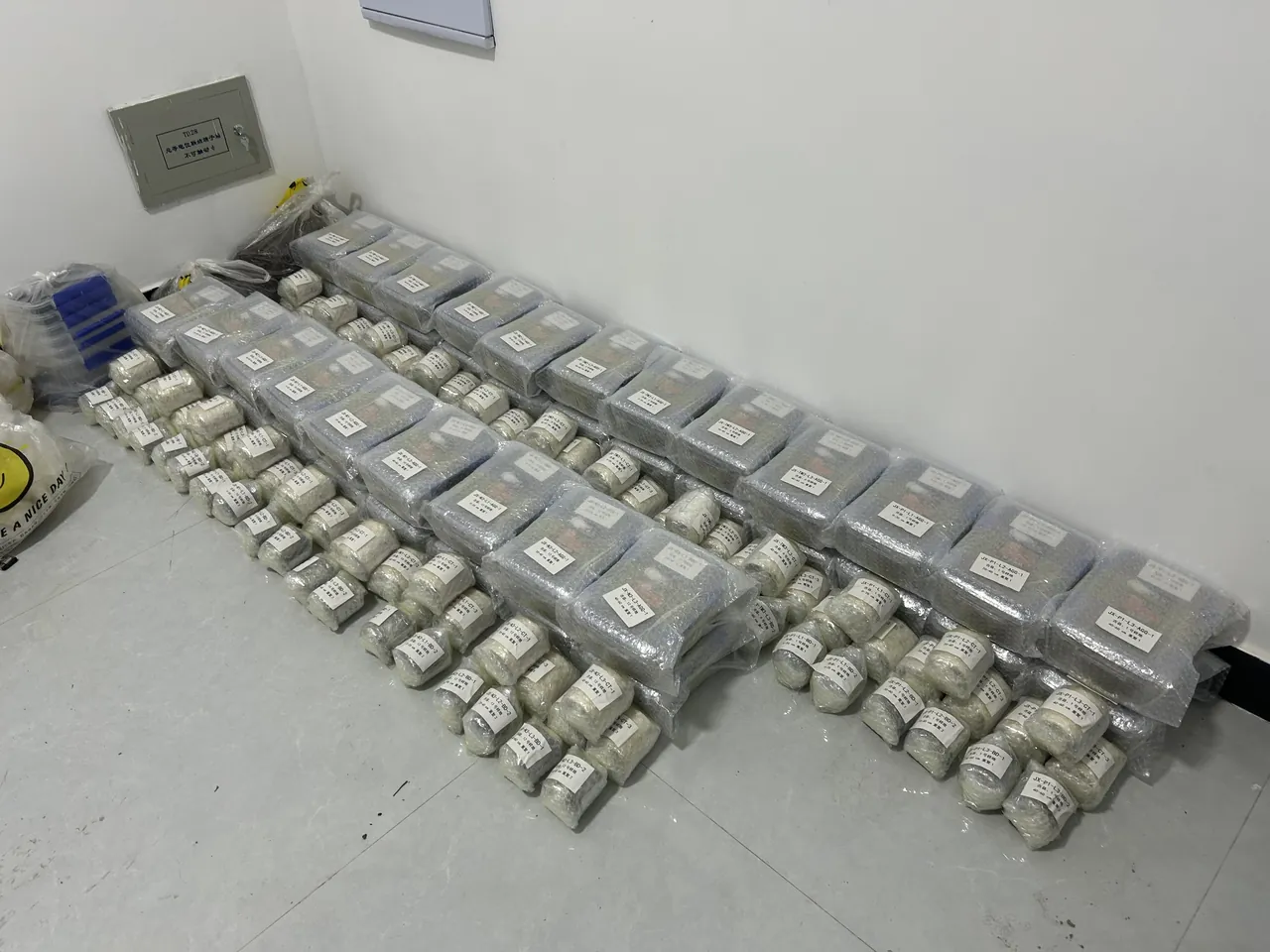 森林样带调查照片